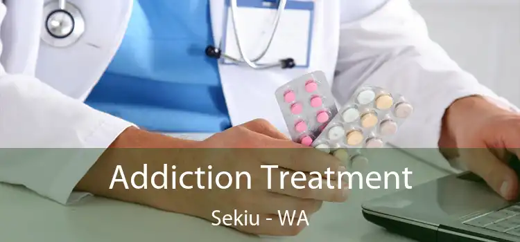 Addiction Treatment Sekiu - WA