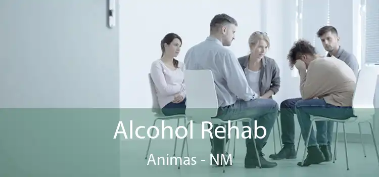 Alcohol Rehab Animas - NM