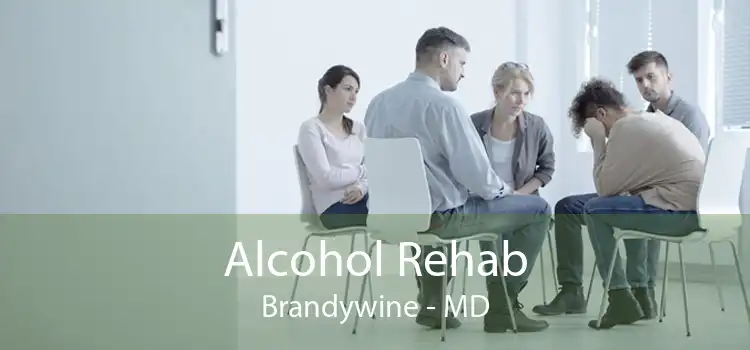 Alcohol Rehab Brandywine - MD