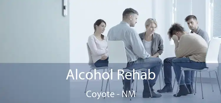 Alcohol Rehab Coyote - NM