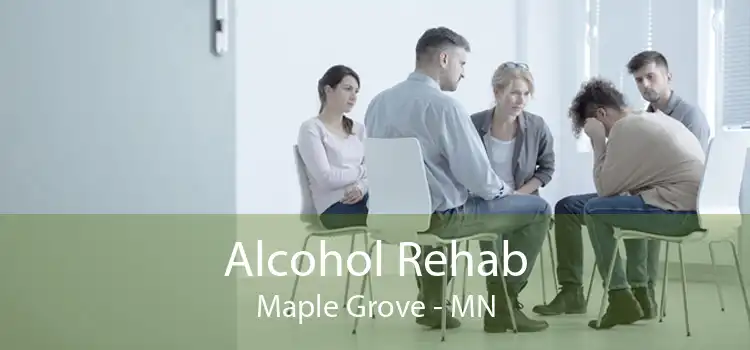 Alcohol Rehab Maple Grove - MN