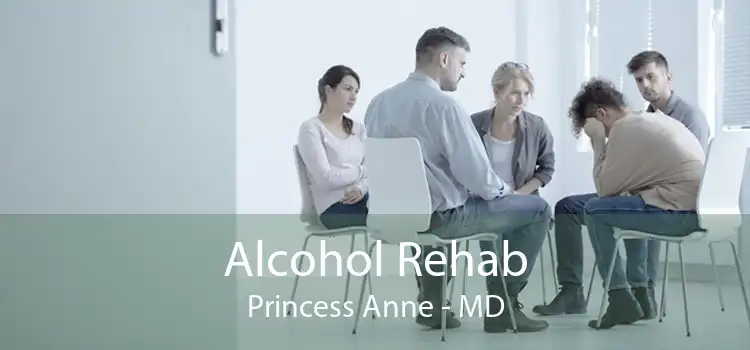 Alcohol Rehab Princess Anne - MD