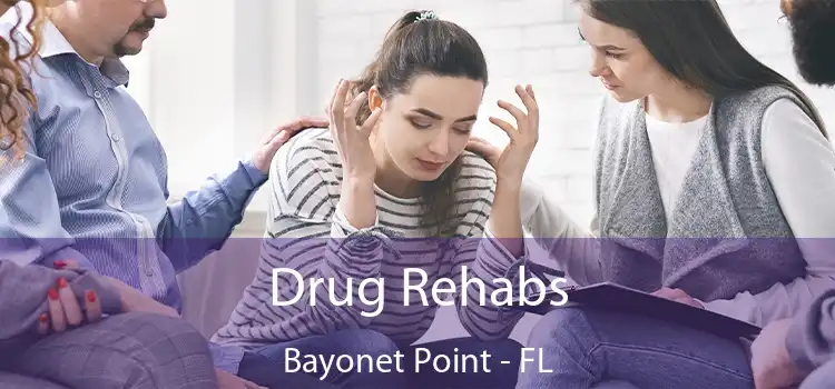Drug Rehabs Bayonet Point - FL
