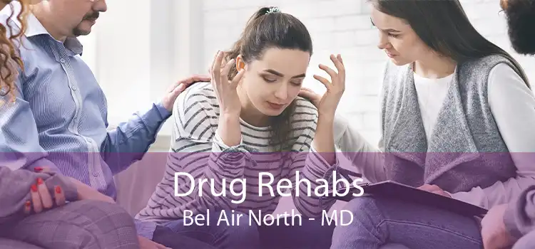 Drug Rehabs Bel Air North - MD