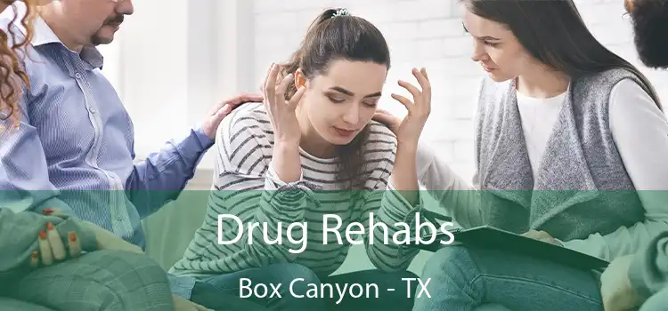 Drug Rehabs Box Canyon - TX