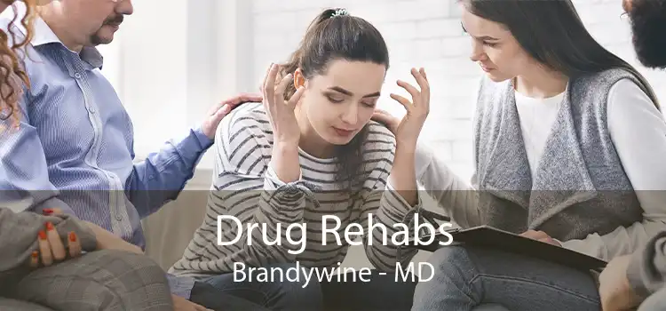 Drug Rehabs Brandywine - MD