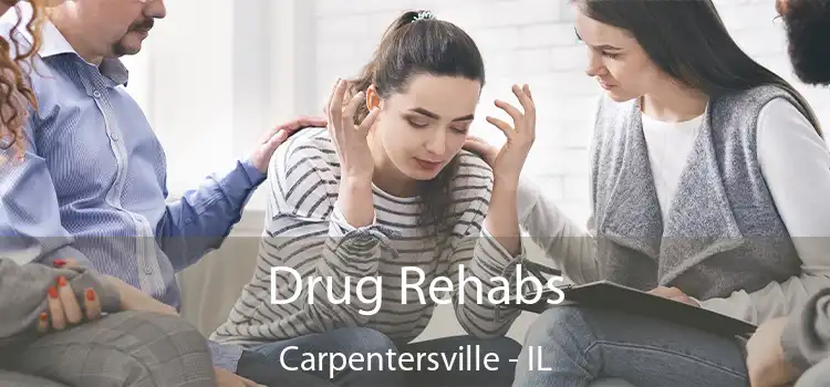Drug Rehabs Carpentersville - IL