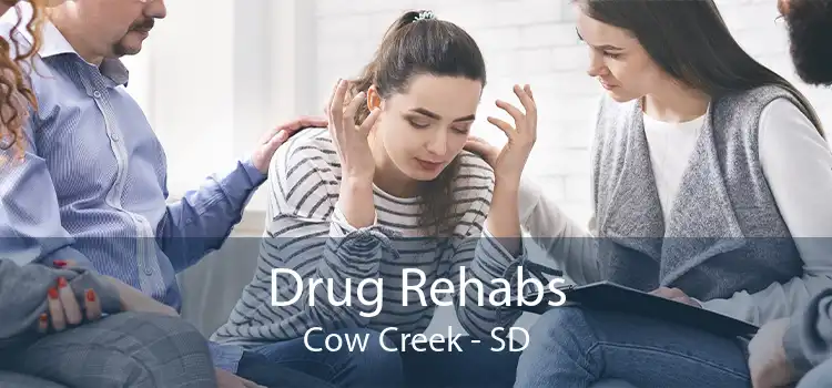 Drug Rehabs Cow Creek - SD