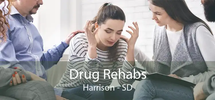 Drug Rehabs Harrison - SD