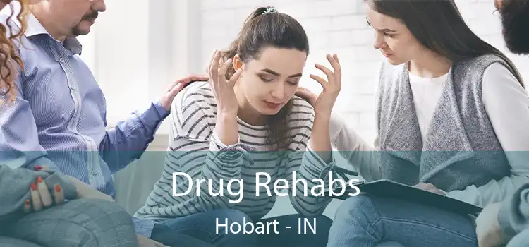 Drug Rehabs Hobart - IN