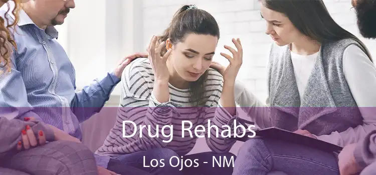 Drug Rehabs Los Ojos - NM