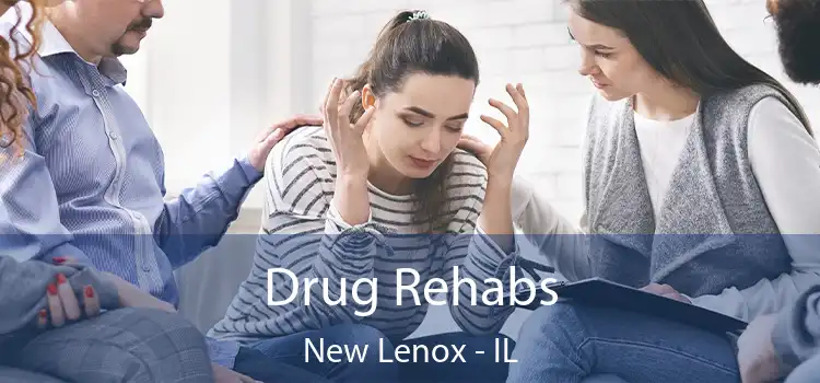 Drug Rehabs New Lenox - IL