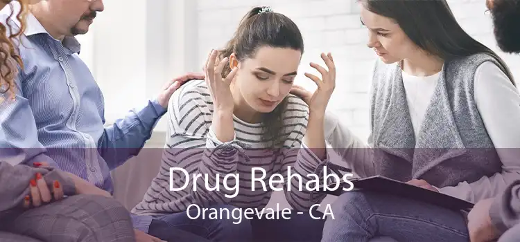  Drug Rehabs Orangevale - CA