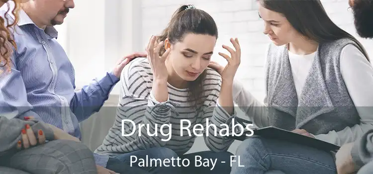 Drug Rehabs Palmetto Bay - FL