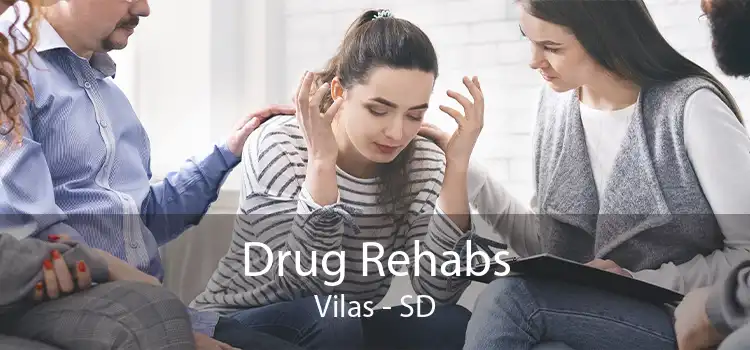 Drug Rehabs Vilas - SD