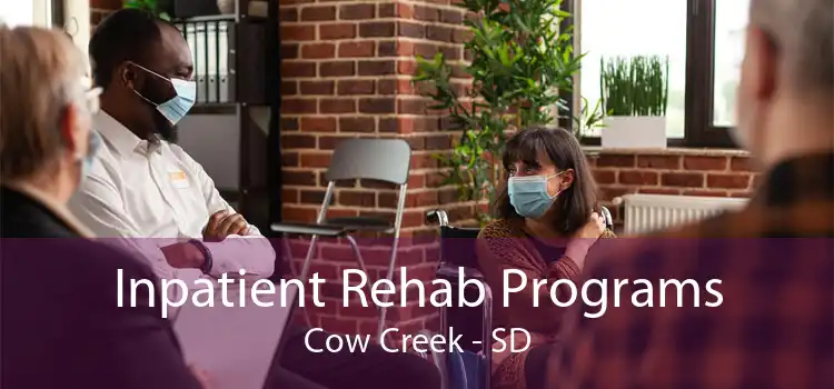 Inpatient Rehab Programs Cow Creek - SD