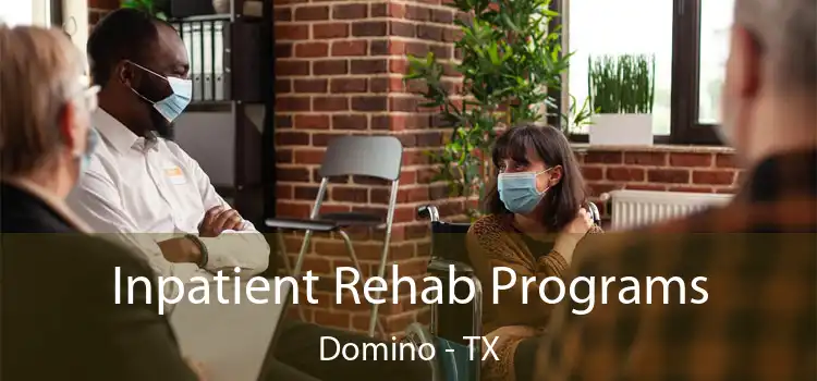  Inpatient Rehab Programs Domino - TX