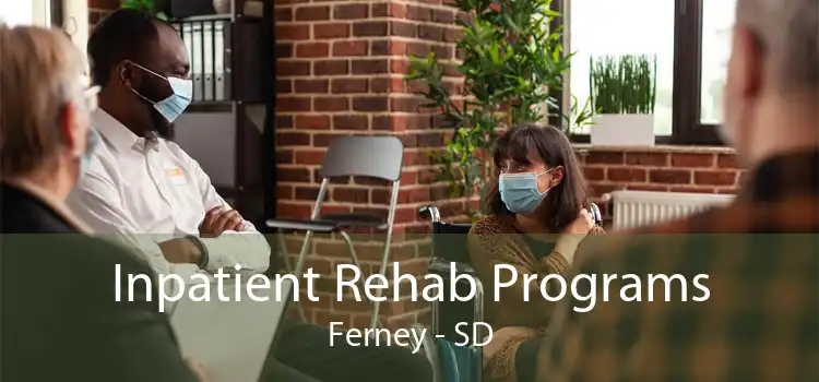 Inpatient Rehab Programs Ferney - SD