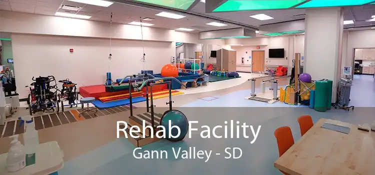 Rehab Facility Gann Valley - SD