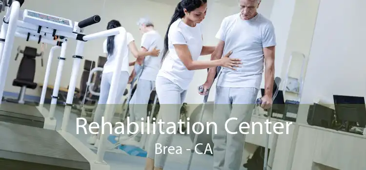  Rehabilitation Center Brea - CA
